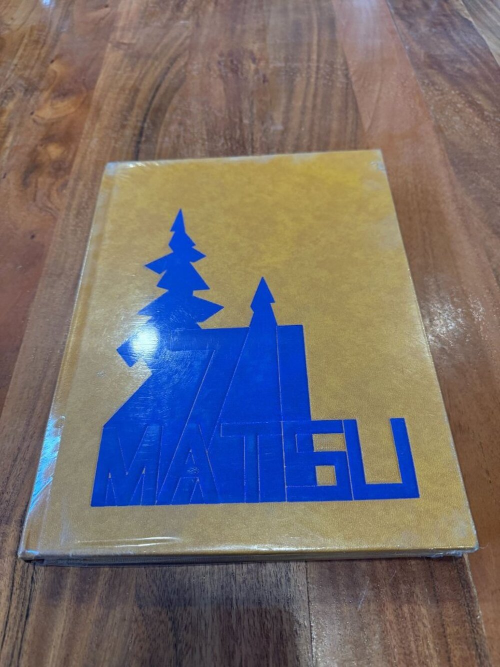 1971 Christian Academy Japan Yearbook Tokyo Matsu Vol 15 CAJ High School